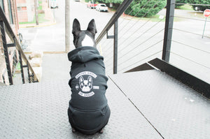 Boston Army of Doom Pup Hoodie