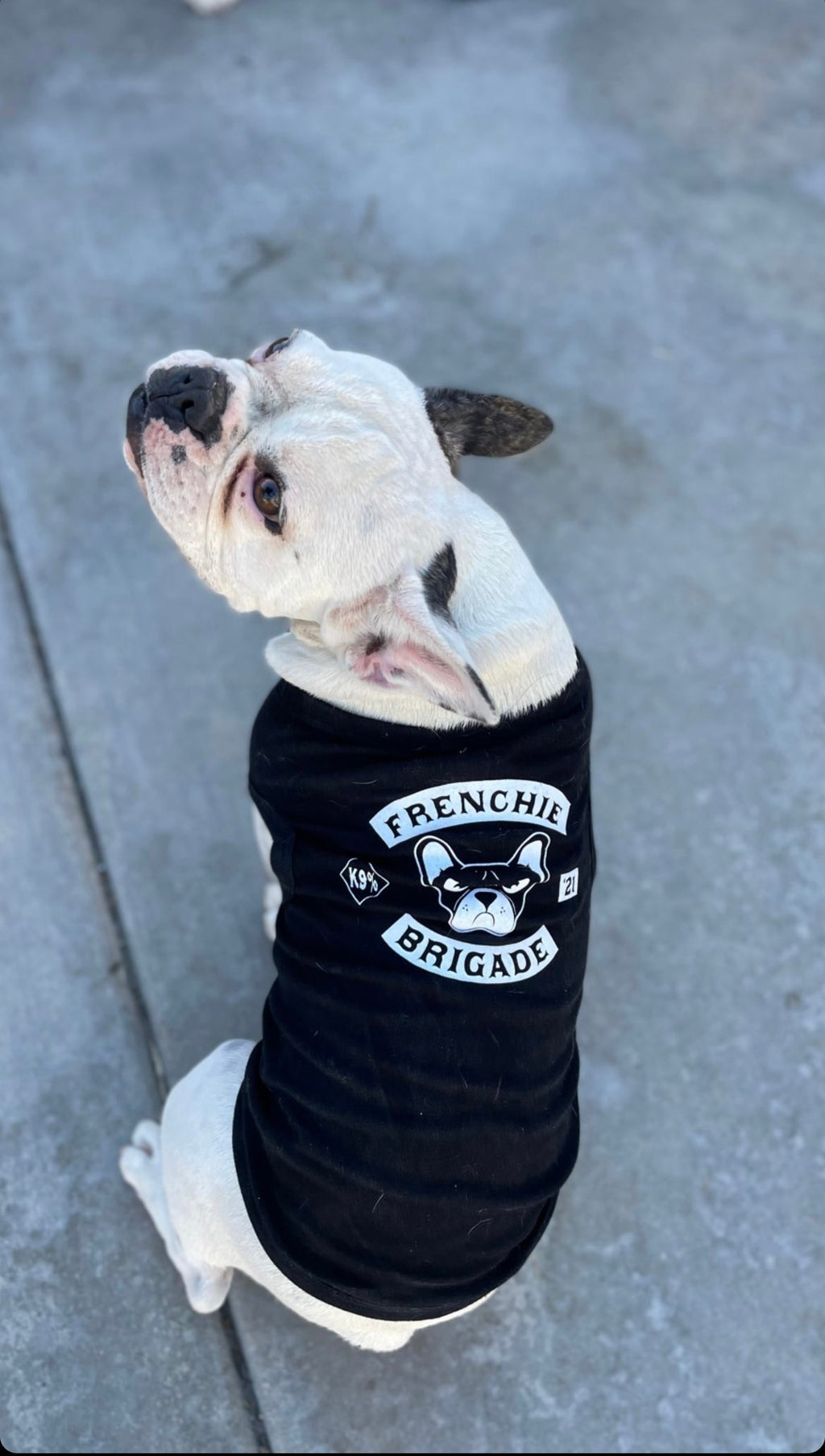 Frenchie Brigade Pup Shirt