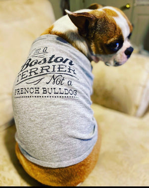Not A French Bulldog Pup Shirt