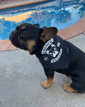 Frenchie Brigade Pup Bandana