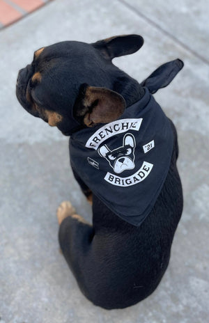 Frenchie Brigade Pup Bandana