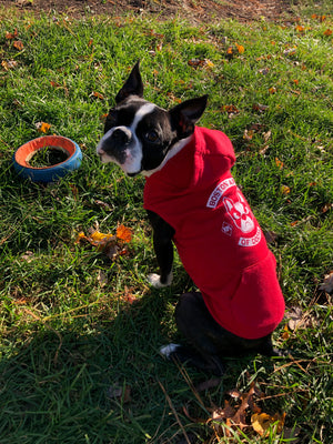 Boston Army of Doom Pup Hoodie