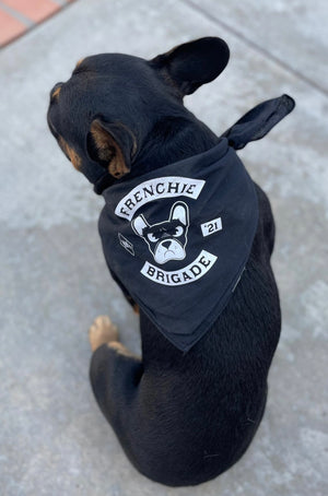 Frenchie Brigade Pup Bandana
