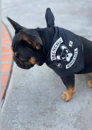 Frenchie Brigade Pup Bandana