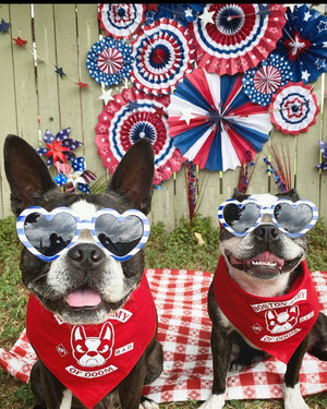 Boston Army of Doom Bandana